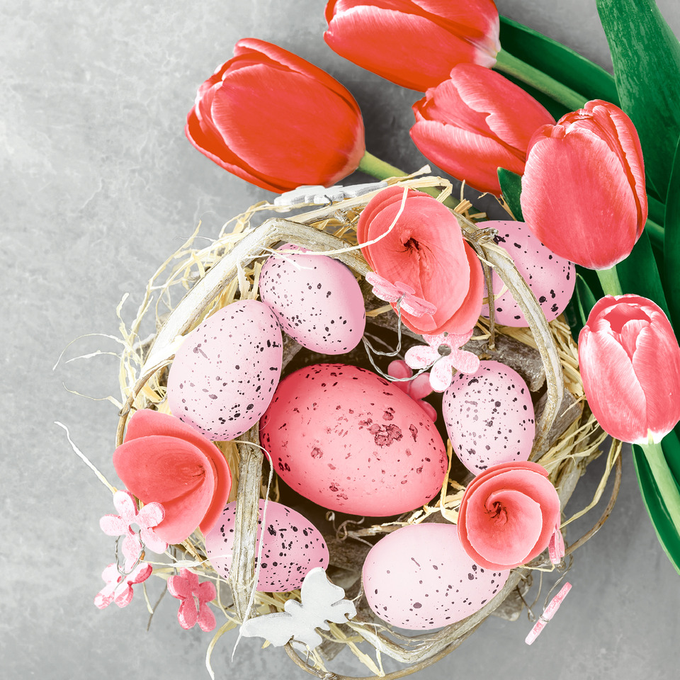 Ostern, Nest, Eier, Tulpen, Deko