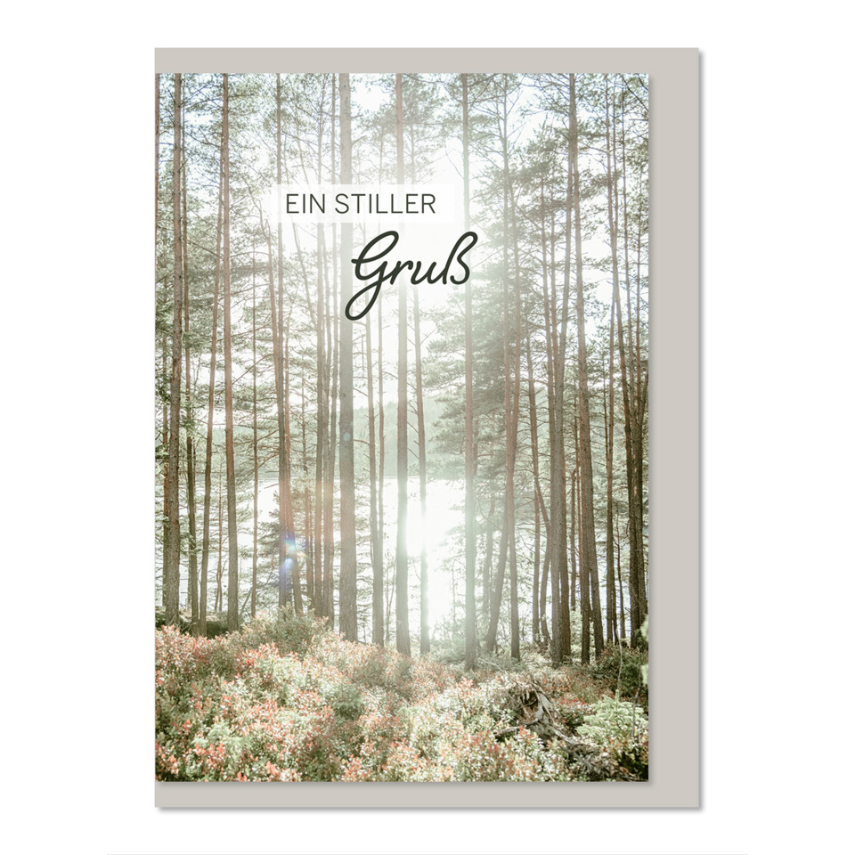  Wald,  Licht,  Bäume,  Natur,  Postkartenmotiv