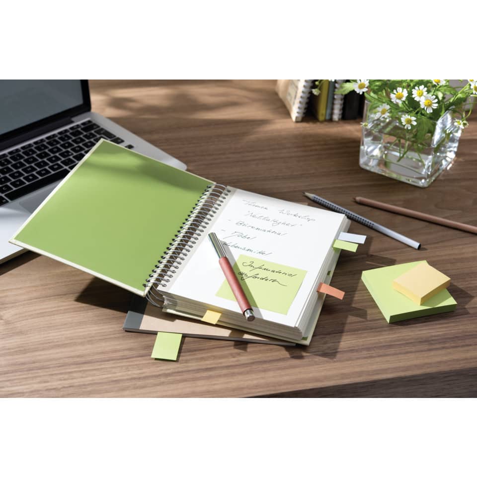 Notizbuch, Spiralblock, Pflanzen-Deko, Schreibtisch-Setup, Kugelschreiber