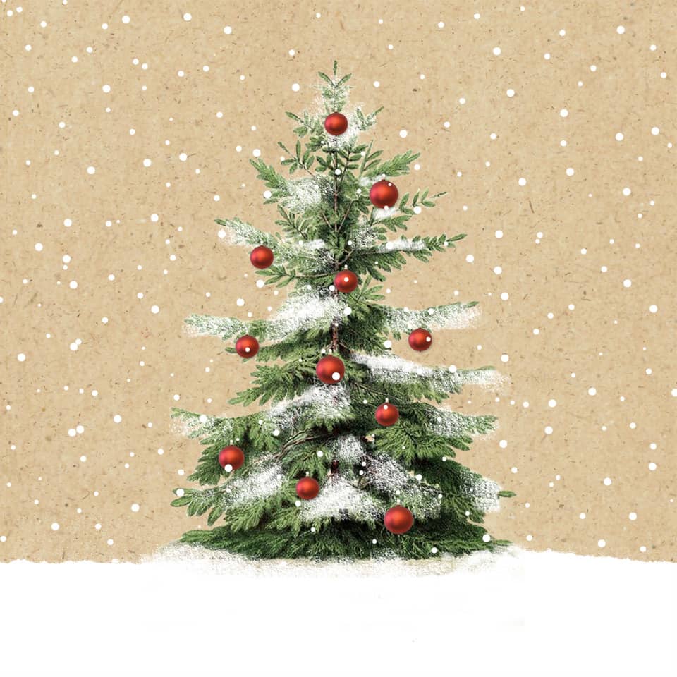 Pflanze, Weihnachten, Weihnachtsdekorationen, Festival, Weihnachtsbaum