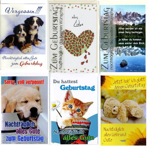 Buch, Veröffentlichung, Hund, Teddybär, Plakat