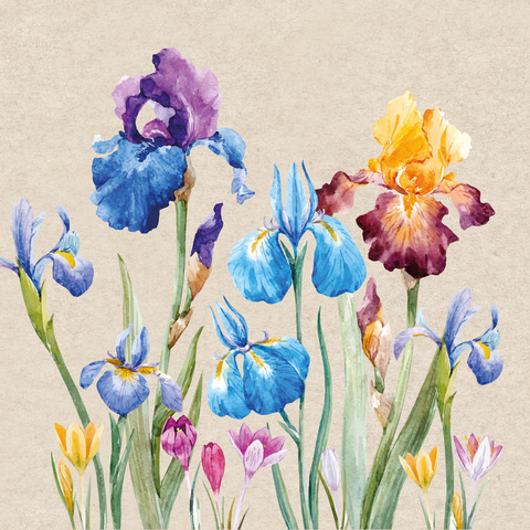 Motivserviette Iris - 100% Recycling, 33 x 33 cm, 2-lagig, 20 Stück PAPER+DESIGN 209995