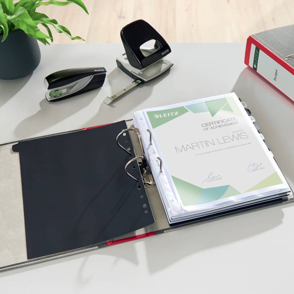 ring binder, Binder, Zertifikat, Ordner, Bürobedarf