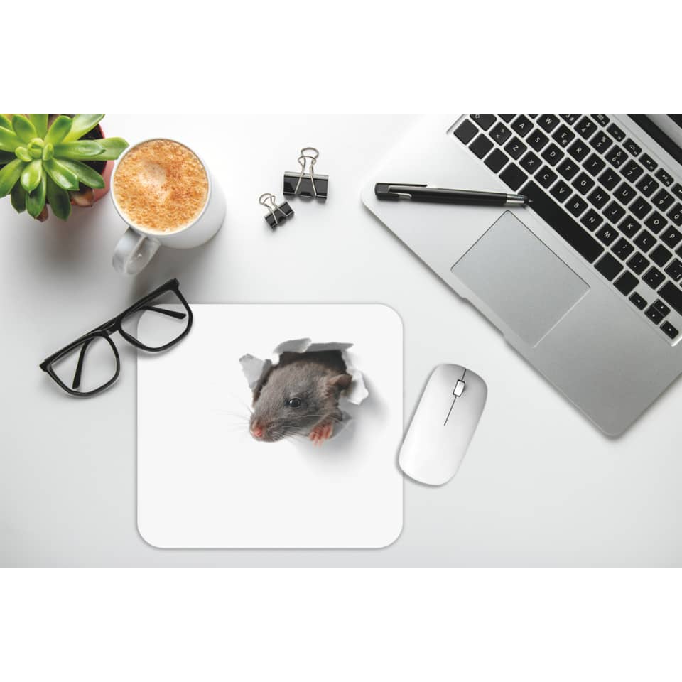 Maus, Haustier, Büro-Setup, Mousepad, Kaffee