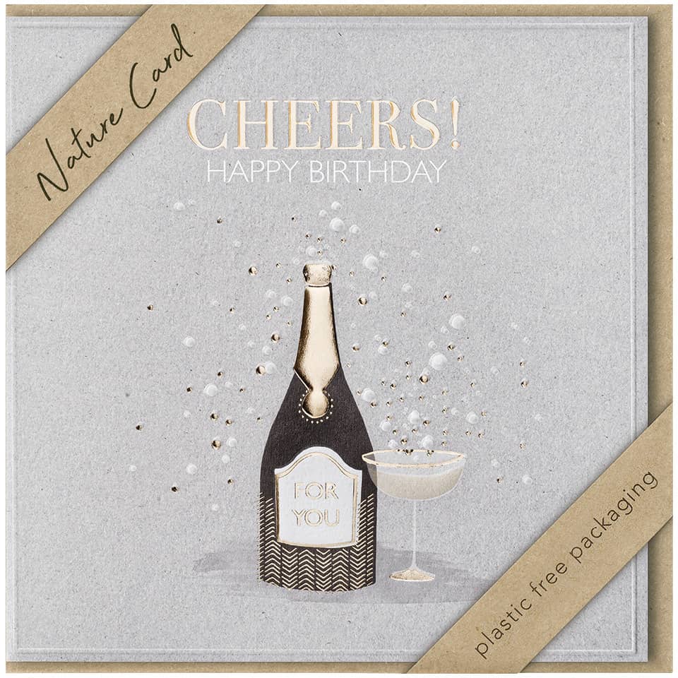 Sektflasche, Champagner, Deko-Karte, Glas, Geschenkverpackung