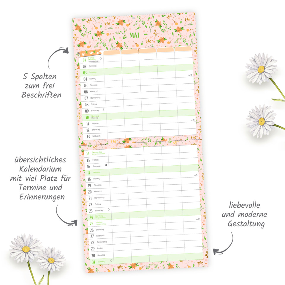 Seite, Text, Blume, Pflanze, Gänseblümchen, Seite, Text, Blume, Pflanze, Gänseblümchen