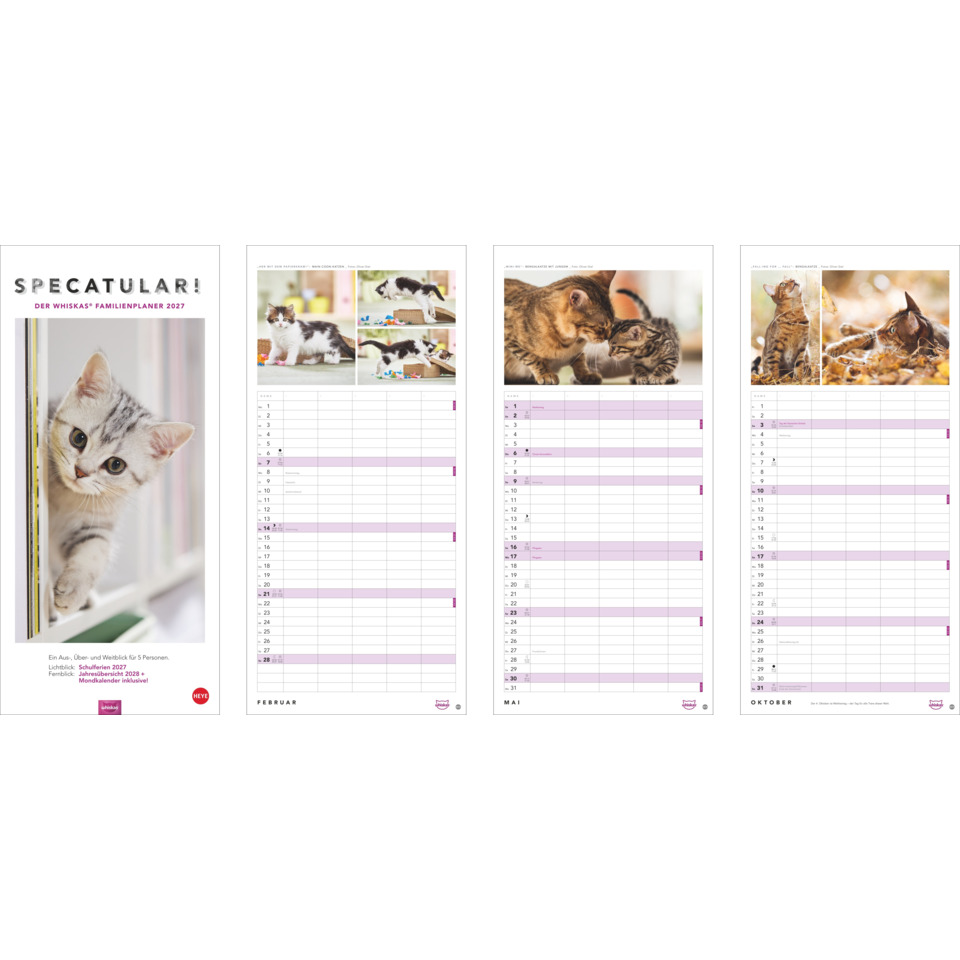 Kalender, Katzen, Tierkalender, Monatskalender, Tierfotos