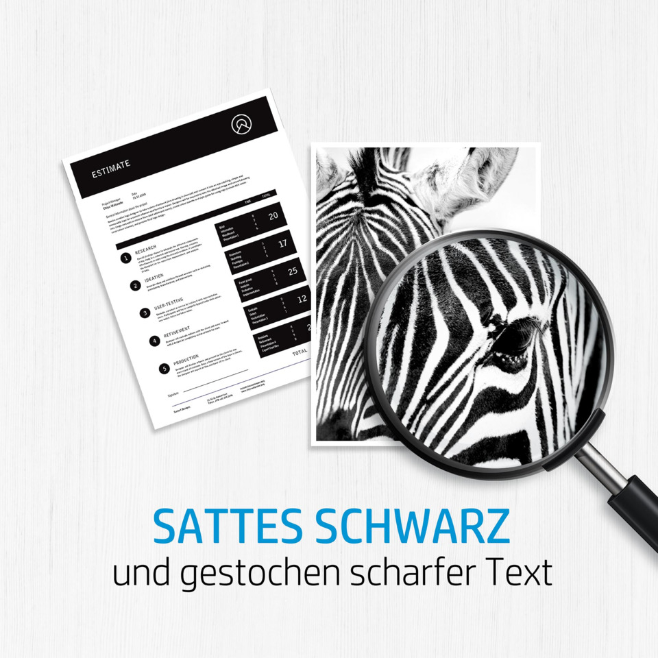 zebra, zebra print, Schwarz-Weiß, Vergrößerungsglas, Dokument