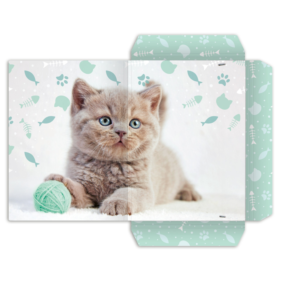 Katzenbaby, Kätzchen, Spielball, Wolle, Tierfoto