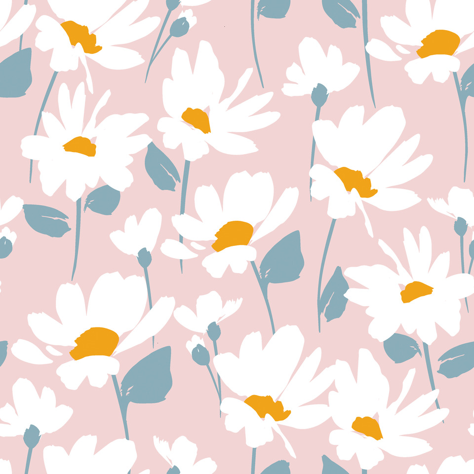 Gänseblümchen, Blume, Pflanze, Blütenblatt, Gänseblümchen, Blume, Pflanze, Blütenblatt