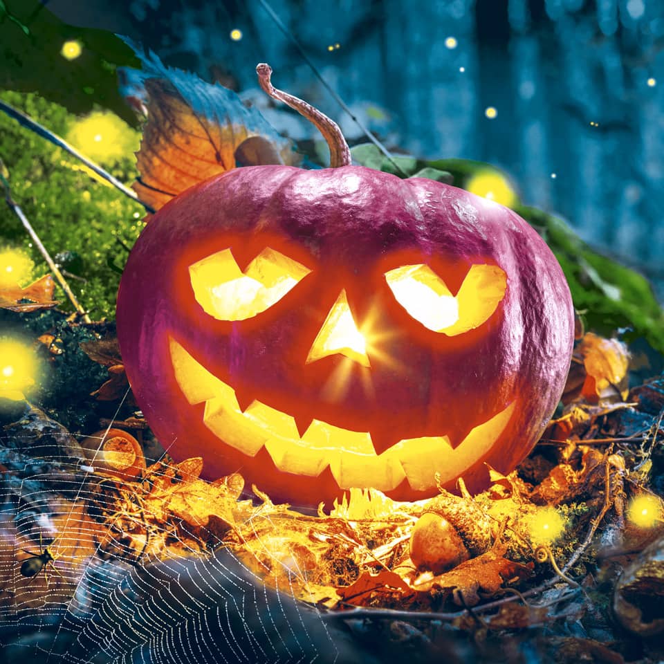 Halloween, Jack-o'-lantern, Kürbis, Lichterkette, Spuklicht