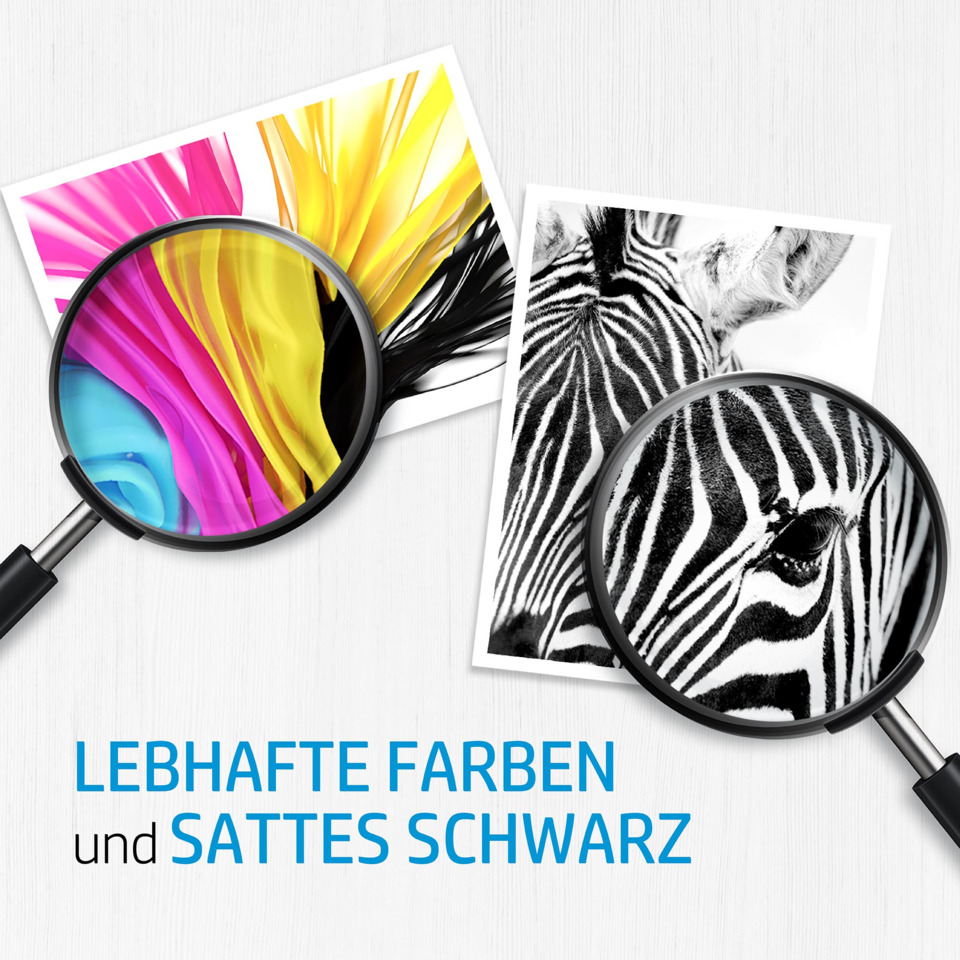 Farben, Zebra, Lupe, Fotografie, Wanddekor