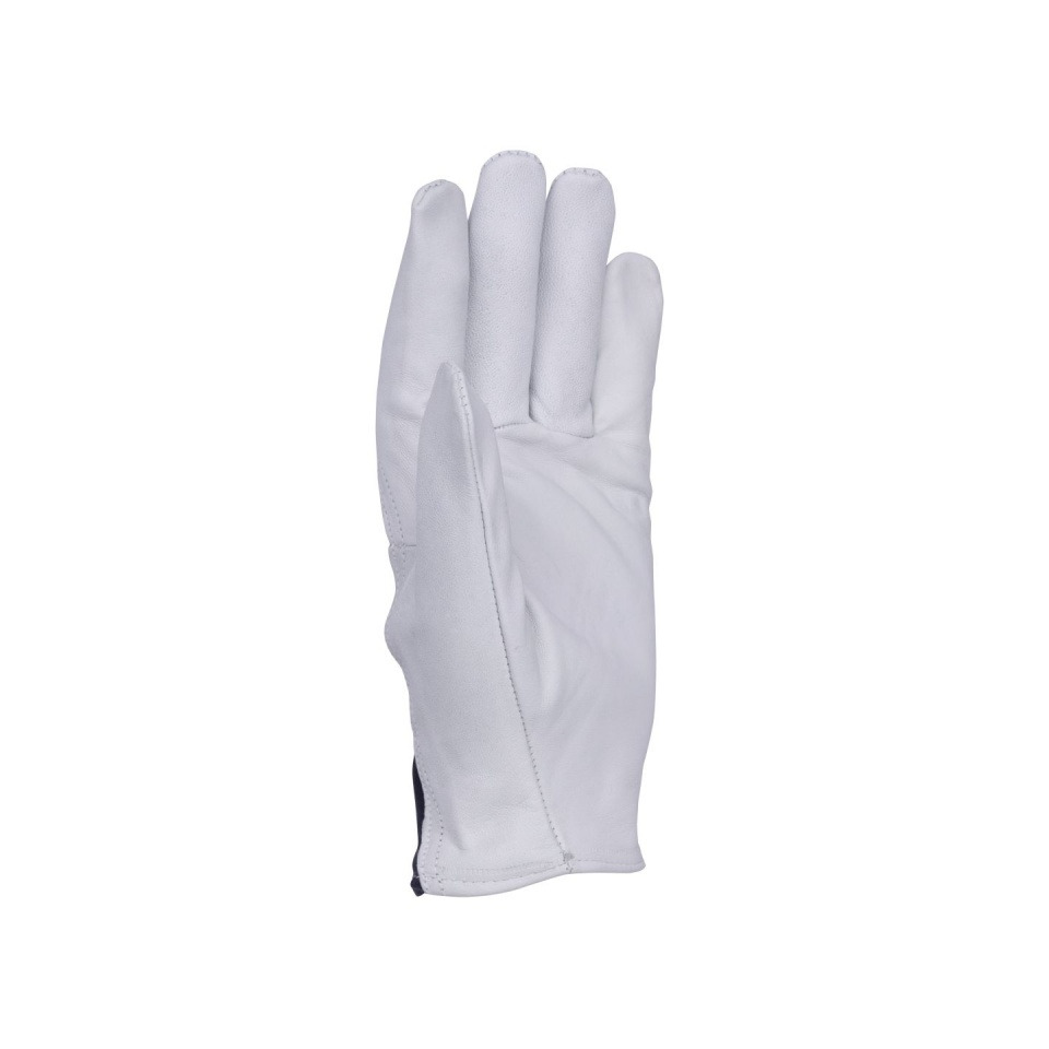 Handschuh, Weiß, Leder, Ganzfinger, Nacht, Kann