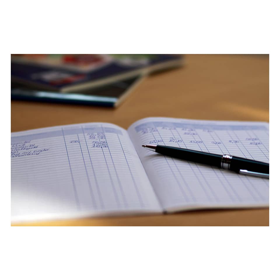 Notizbuch, Tagebuch, Kugelschreiber, Notizen, Buchführung