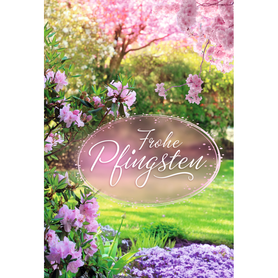 blüten, rosenstrauch, pink, gartenfläche, grünes-laubwerk