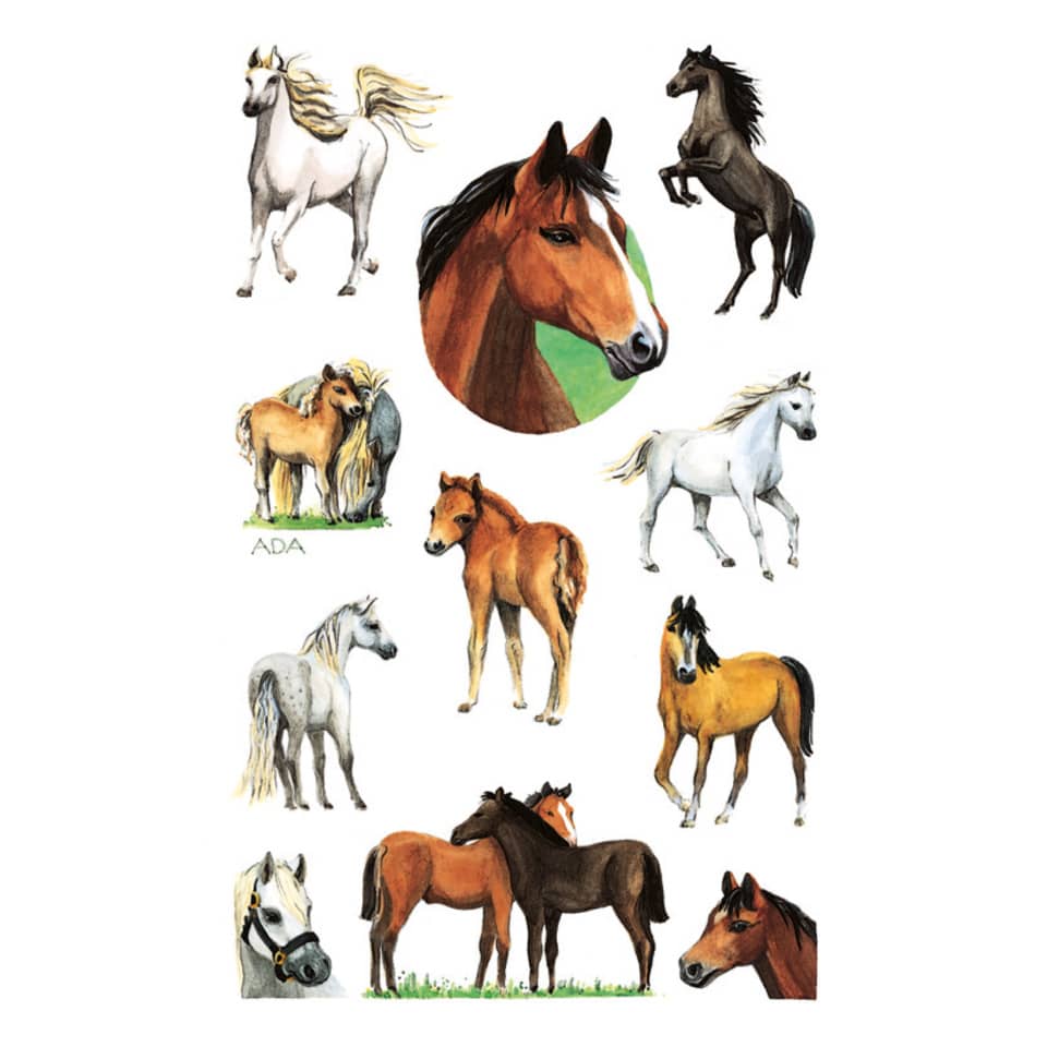 Pferd, Pferde, Pferde-Illustration, Hingucker, Galopp