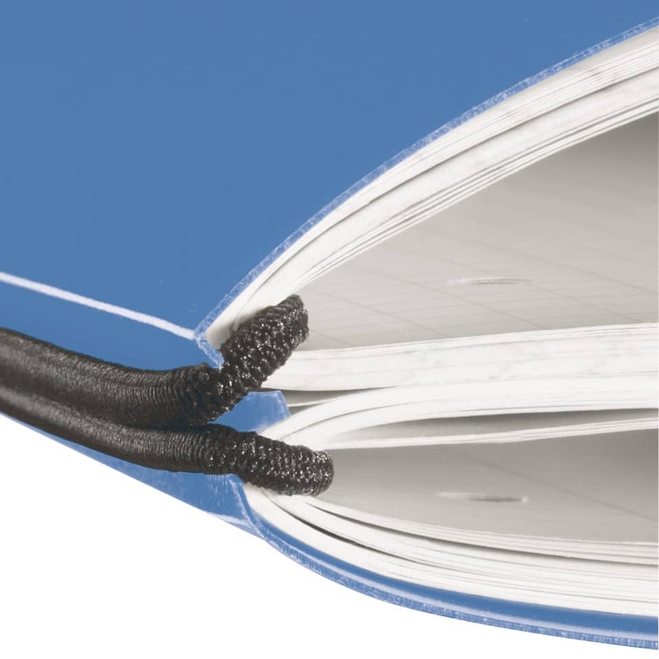 Buch, Veröffentlichung