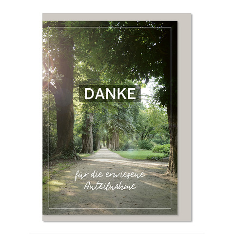 Pflanzenwuchs, Hain, Baum, Wald, Pfad