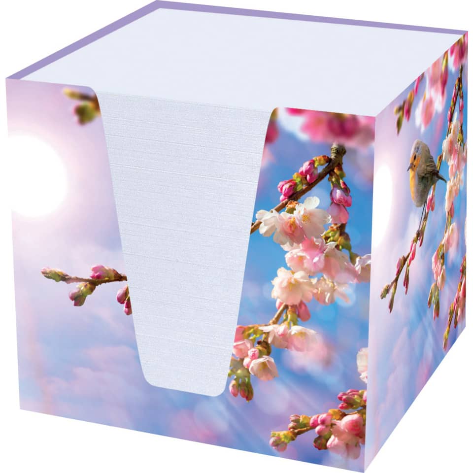 Blume, Pflanze, Blütenblatt, Kiste