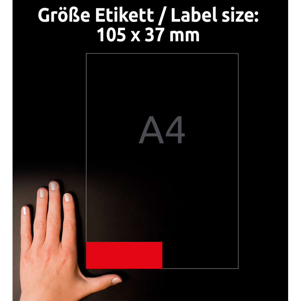 hand, roter block, oberfläche, A4-etikettbereich, rechteckige Aussparung