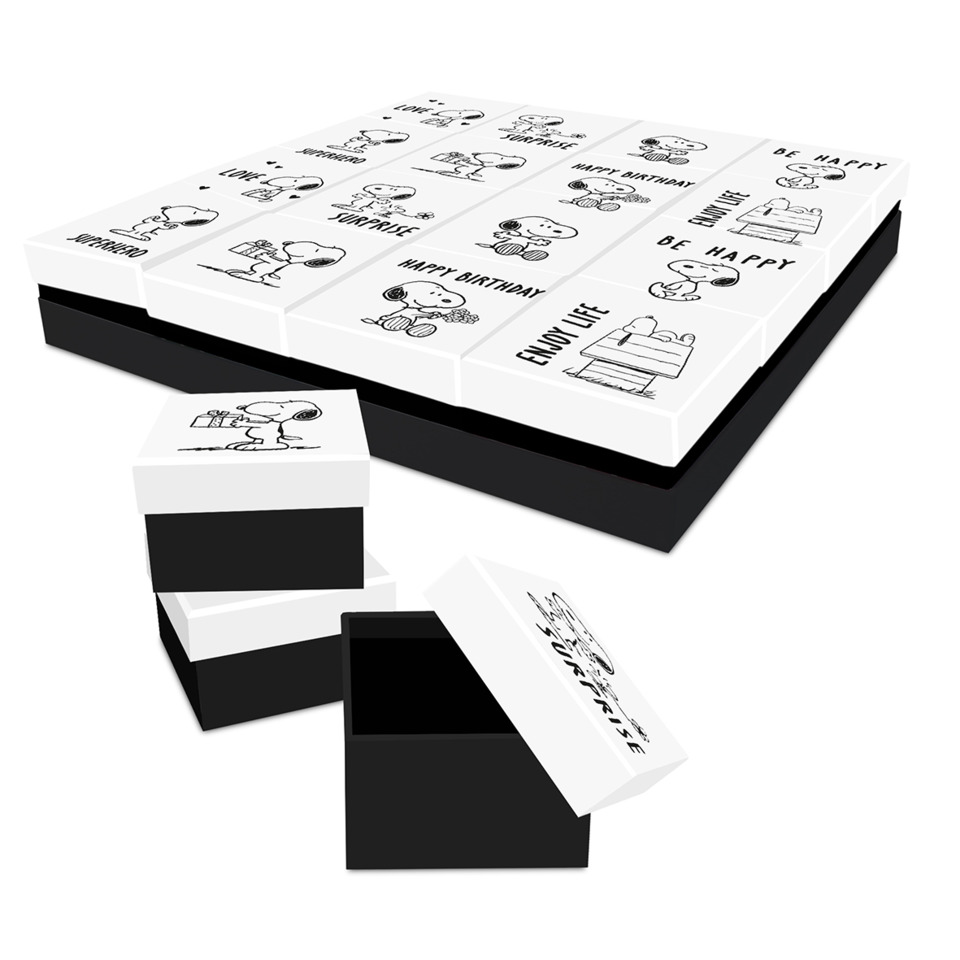Schachtel, Schnee Weiß, Schwarz, Geschenkboxen, Snoopy Muster