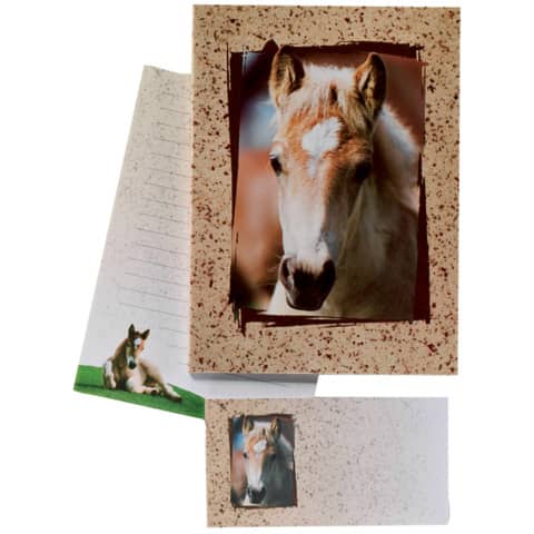 Briefpapier Kinder 10/10 braun   Fohlen liniert DFW 180344 Briefpapier Kinder 10/10 braun   Fohlen liniert DFW 180344