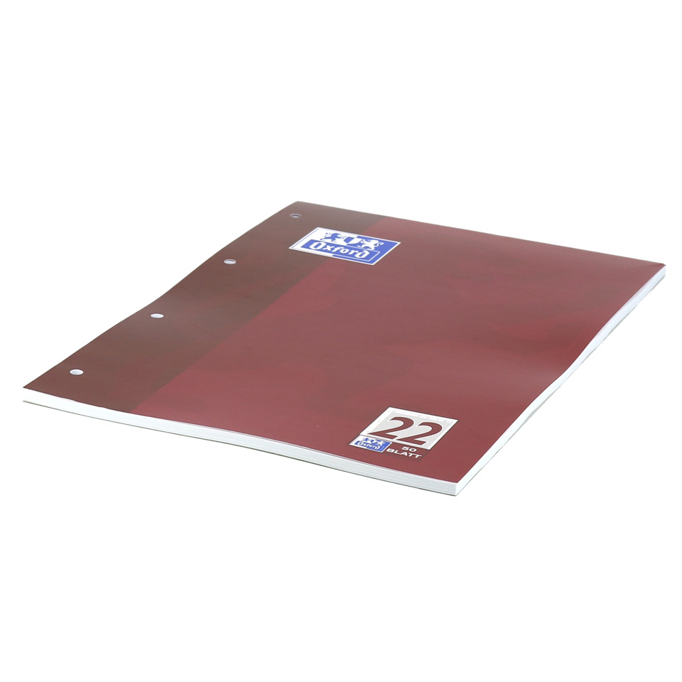 notebook, binder, ring binder, lined pages, brown