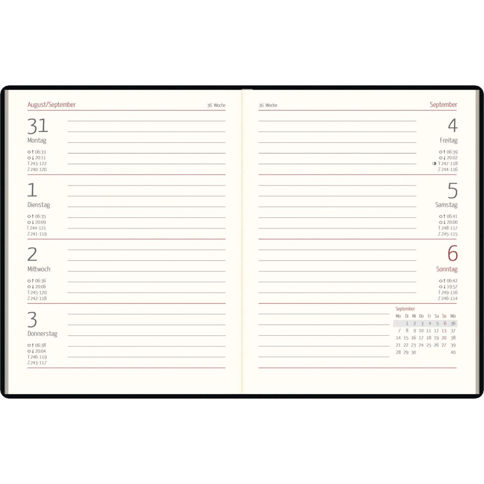 Kalender, Notizbuch, Tagesplaner, Woche, Doppelseite