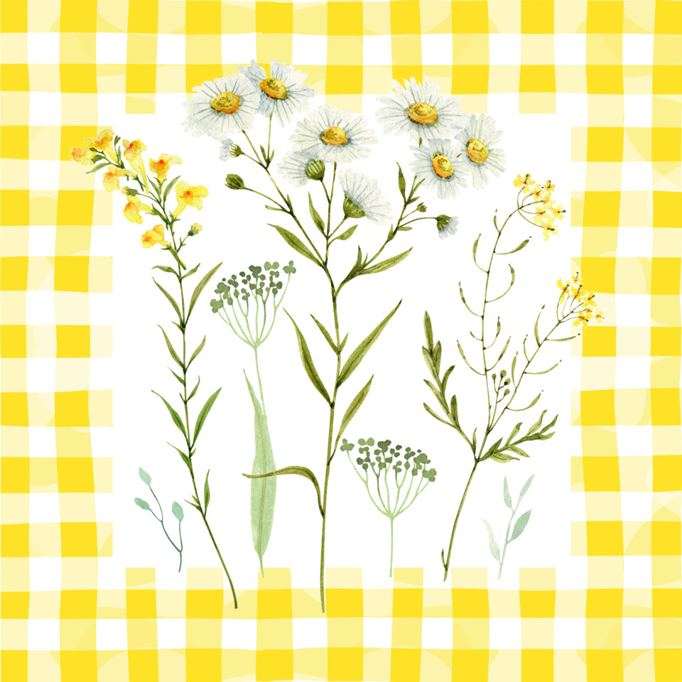 Blumen, Botanische Illustration, Kräuter, Wiesenpflanzen, Gelbes Muster