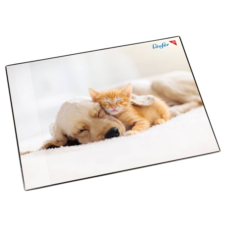 Kunstbild, Hundelaunch, Katzenbild, Tierfoto, Laufer