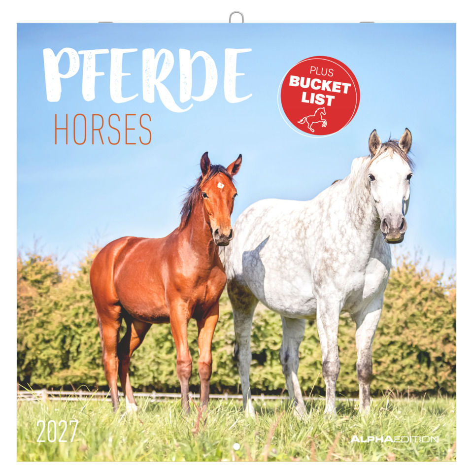 Pferd, Pferde, Reiter, Weide, Kalender 2027