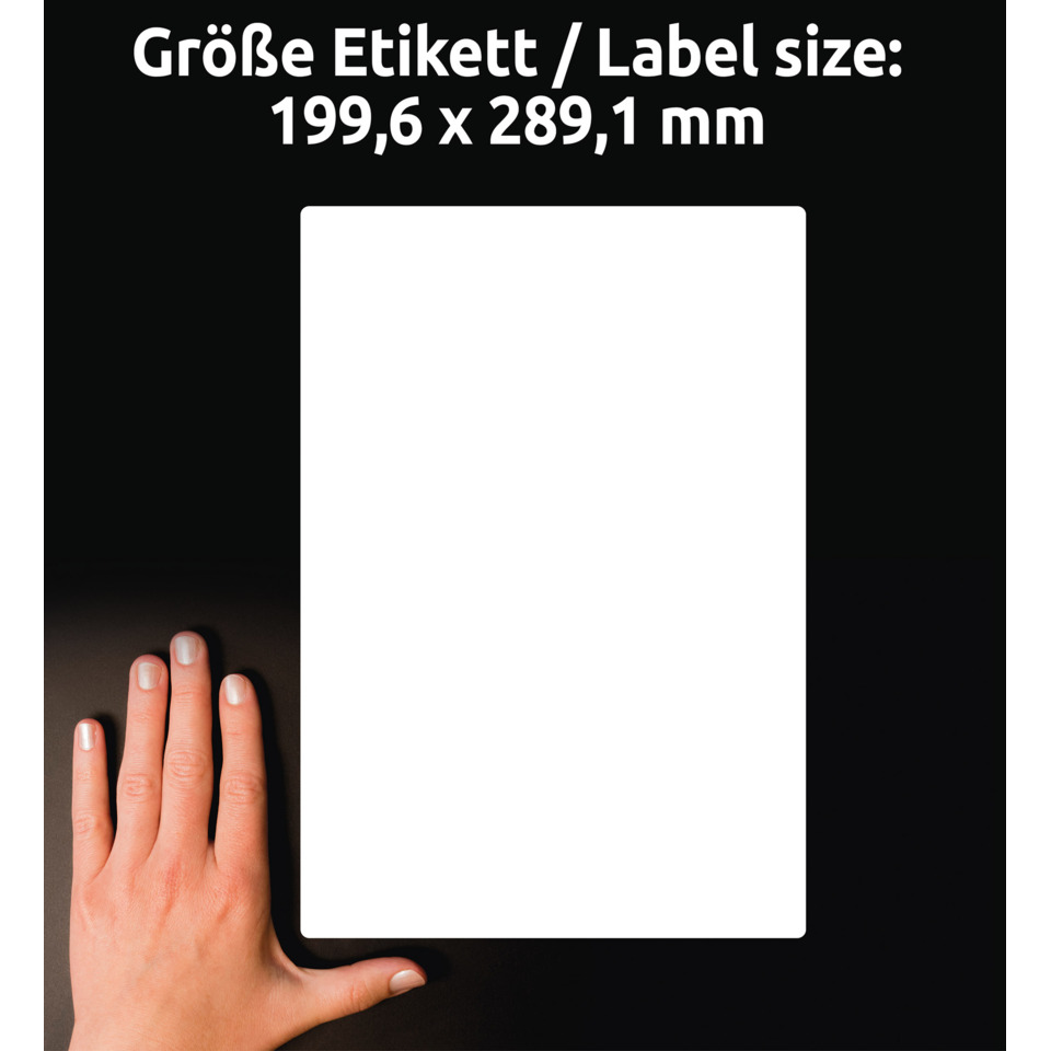 hand, nail, nails, fingers, poster board, Hand, Halterung, blankes Papier, weißes Blatt, Karten-Mockup