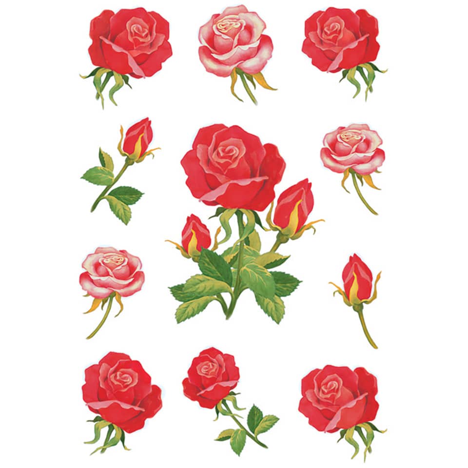 rose, Rose Muster, Rote Rose, Rosenknospe, Rosenstrauß
