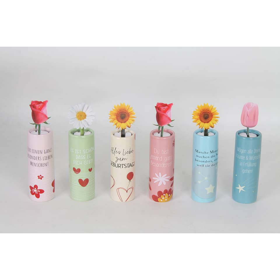 Blume, Pflanze, Rose, Zylinder