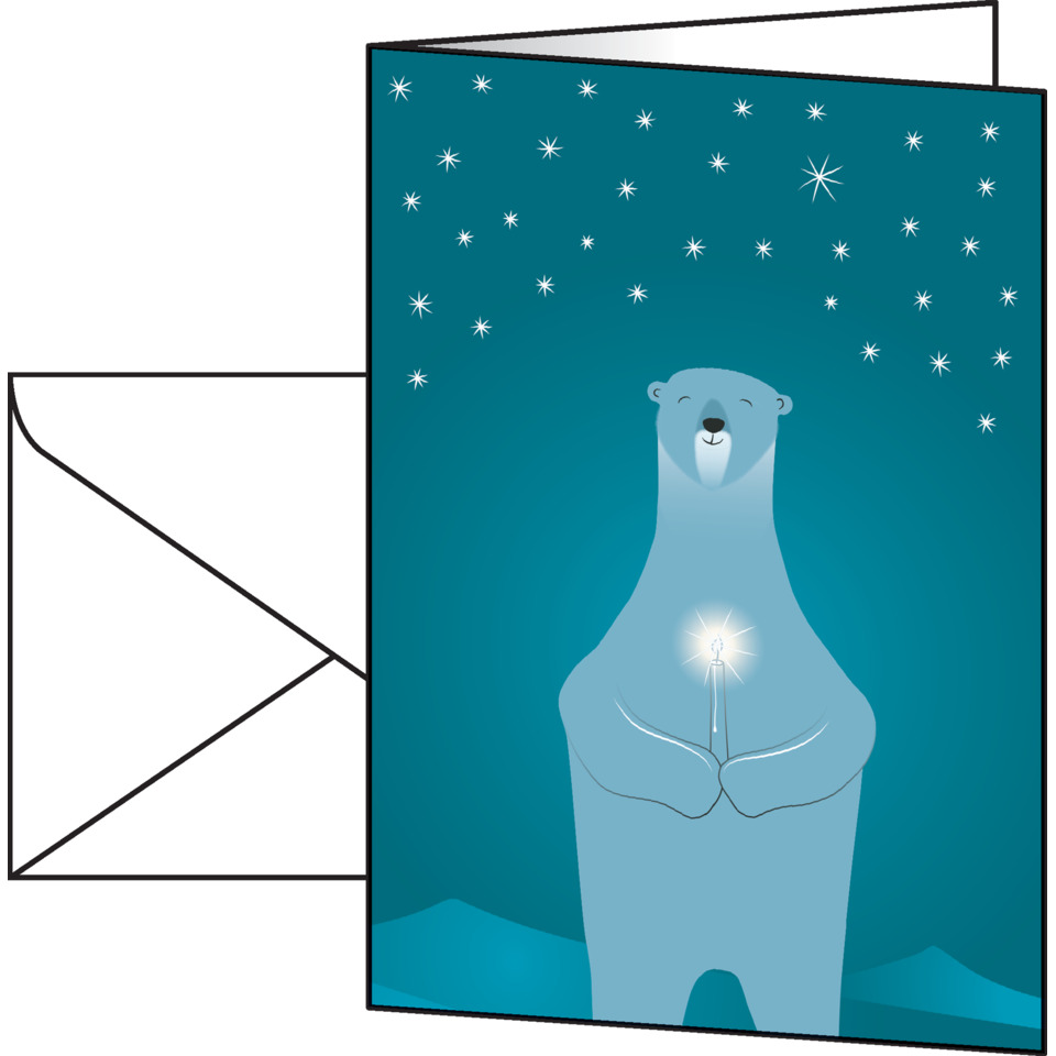 Polar bear, Schneestern, Nacht Himmel, Polarbär, Leuchte