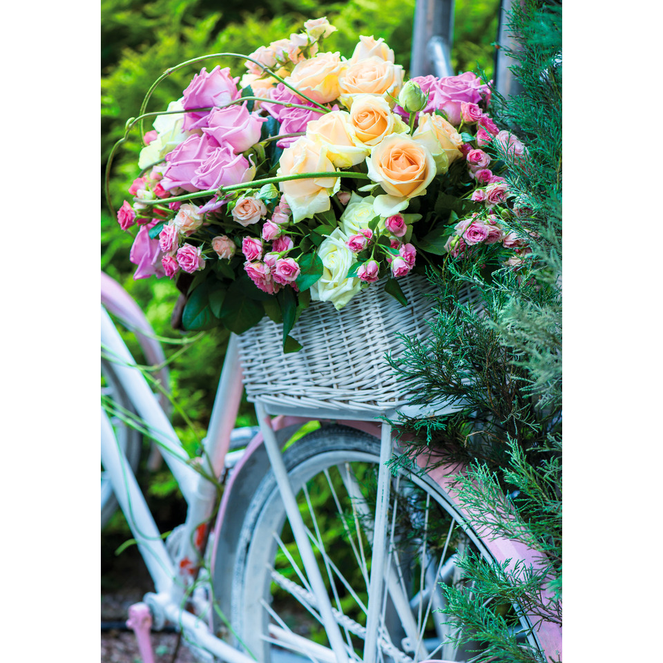 Blumenstrauß, Rosen, Rosenstrauß, Fahrradkorb, Korbstreuß