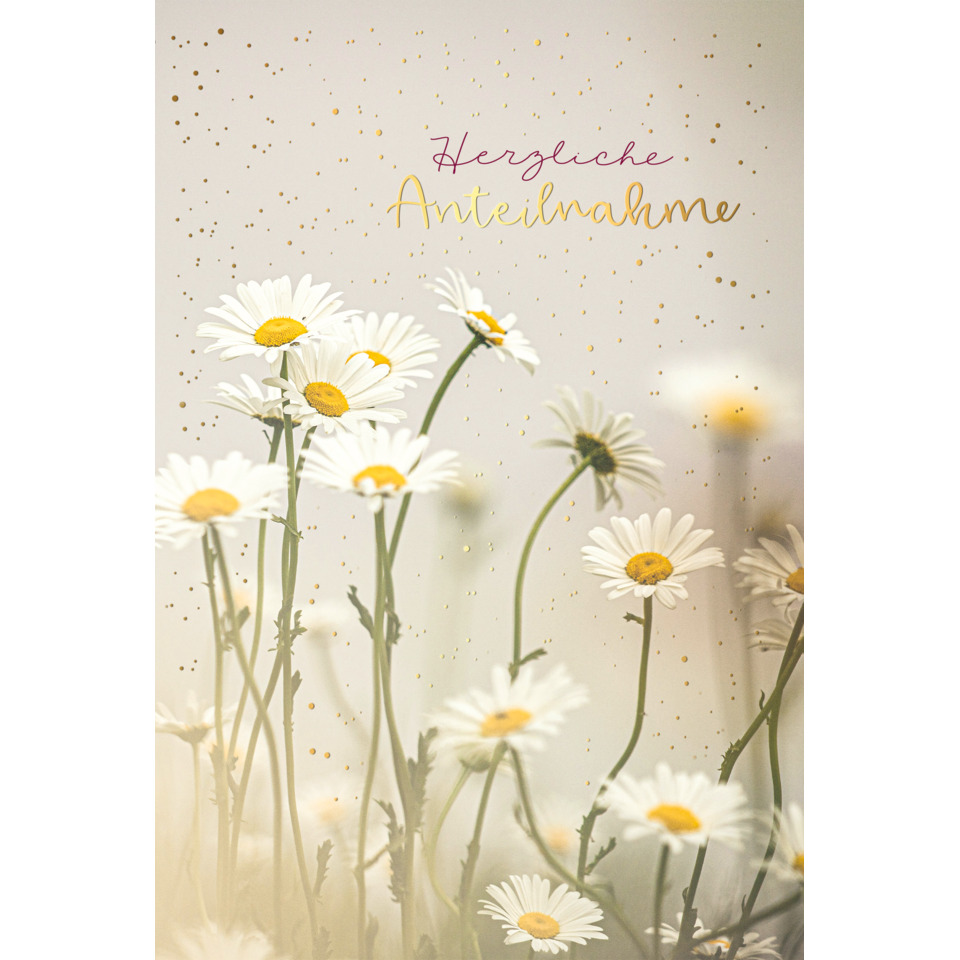 Gänseblümchen, Blumen, Blüten, Wiesenblumen, Grußkarte