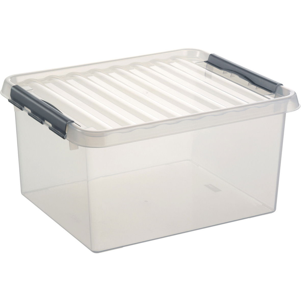 Aufbewahrungsbox, Transparente Box, Aufbewahrung, Deckel mit Griffen, Schwarz?