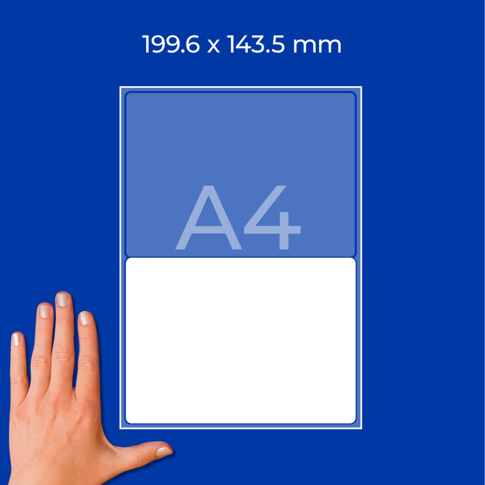 DIN A4, Fotopapier, Ummantelung, Blatt, Hand zur Größeneinschätzung