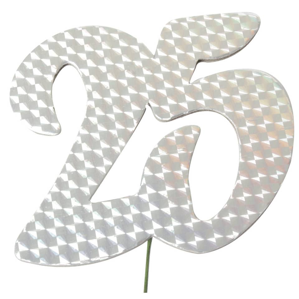 Jubiläumszahl 25, silber  2513825
