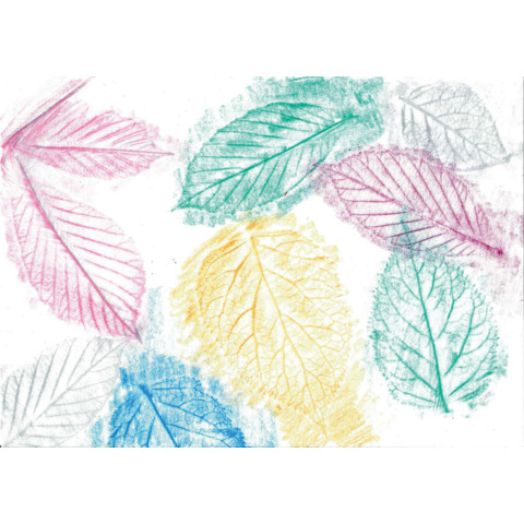 Blatt, Eis, Wetter, Frost, Kunst