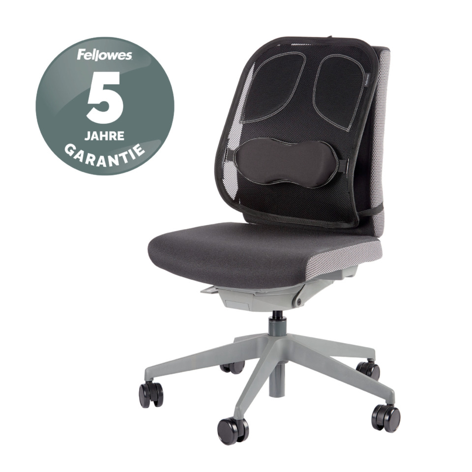 Ergonomie-Stuhl, Bürostuhl, Mesh-Rücken, Kniekissen?, Fünf-Sterne-Garantie