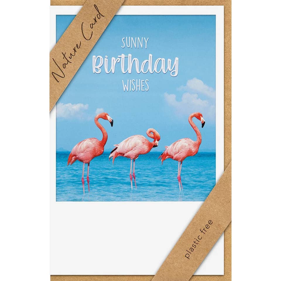 Flamingos, Geburtstagskarte, 3D Foto Karte, blauer Himmel, Pinke Vögel