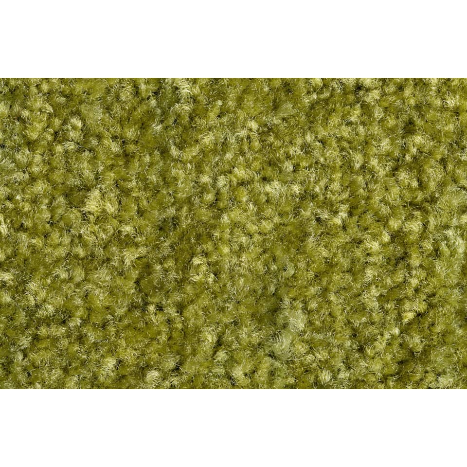 Dekoration für Zuhause, Teppich, Moos, Pflanze