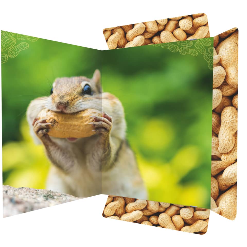 Nuss, Produzieren, Gemüse, Ratte, Erdnuss