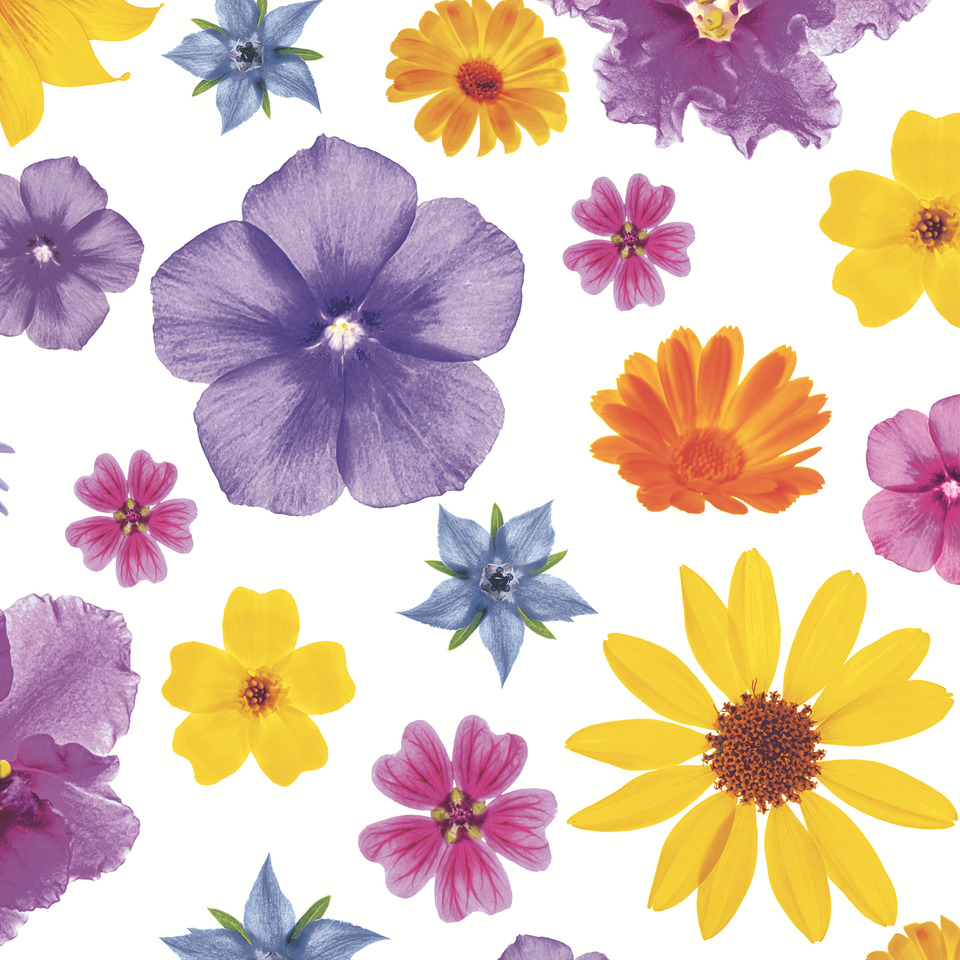 blumenmuster, florales design, bunte blumen, blumenprint, musterblumen