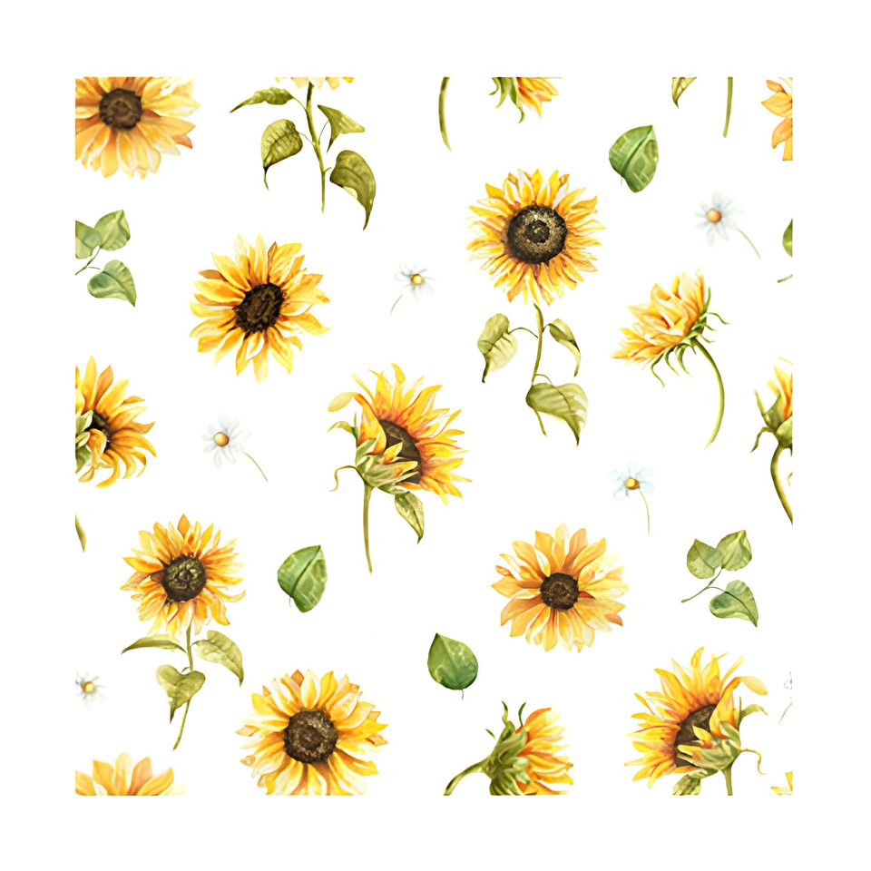 Blume, Pflanze, Sonnenblume, Blume, Pflanze, Sonnenblume