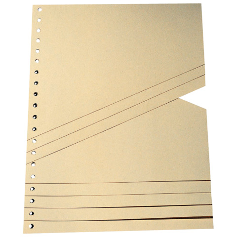 Staffeltrennblatt, A4, 200g/m², 100 Stück, chamois  9591100100