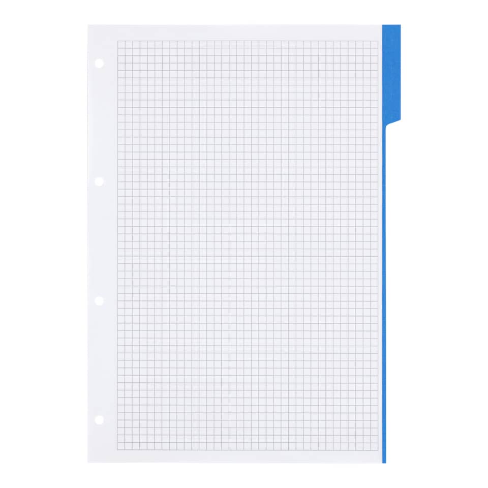Tageblatt, Graph-paper, Blatt mit Raster, Schablone, Ordnerlasche