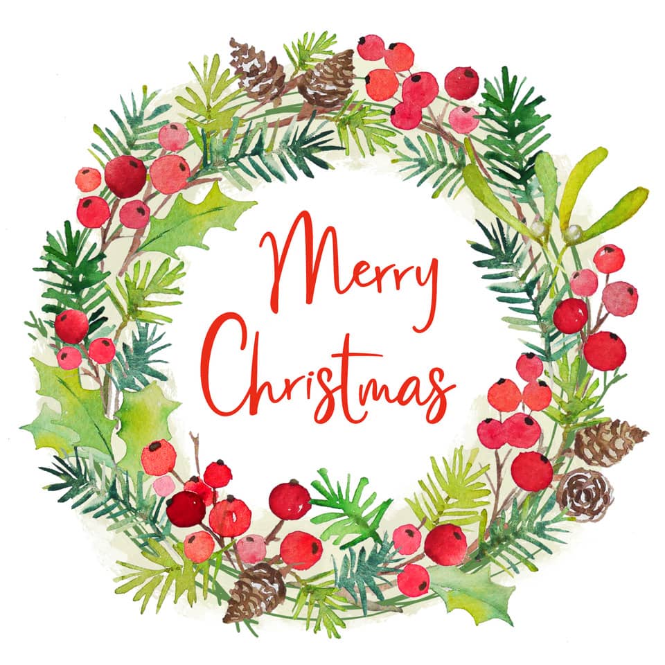 Konifer, Pflanze, Baum, Grußkarte, Eibe